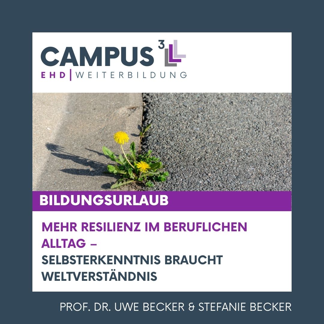 Bildungsurlaub - Mehr Resilienz im beruflichen Alltag